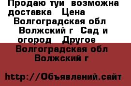 Продаю туи, возможна доставка › Цена ­ 1 000 - Волгоградская обл., Волжский г. Сад и огород » Другое   . Волгоградская обл.,Волжский г.